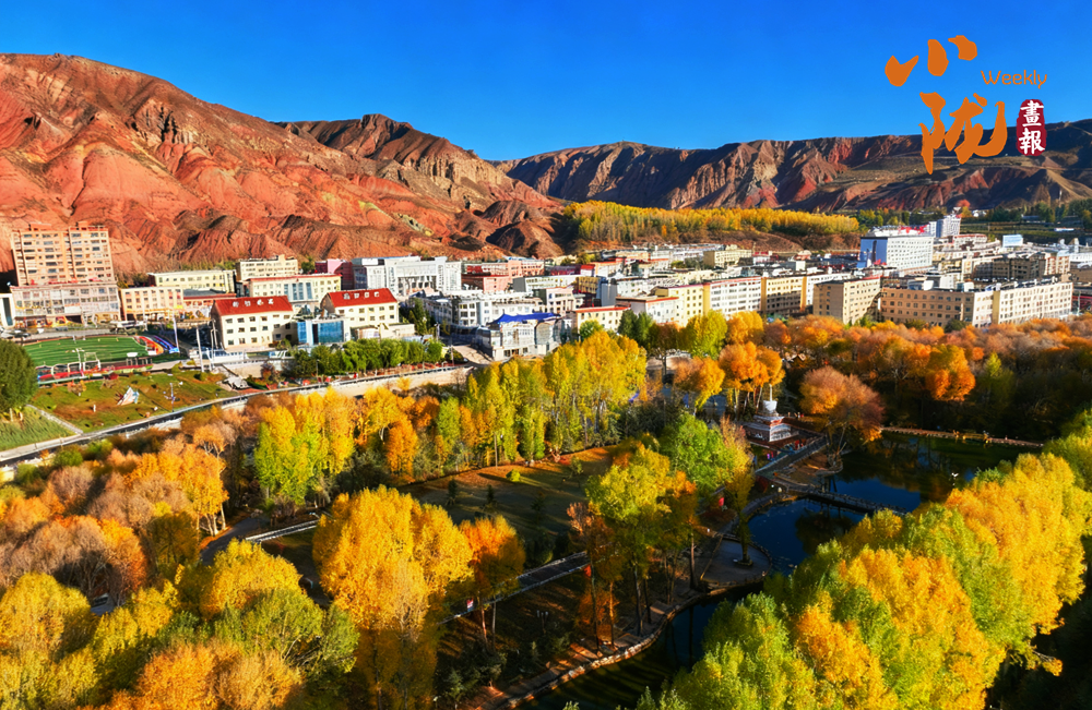 肅南 多彩秋日 滿目金黃